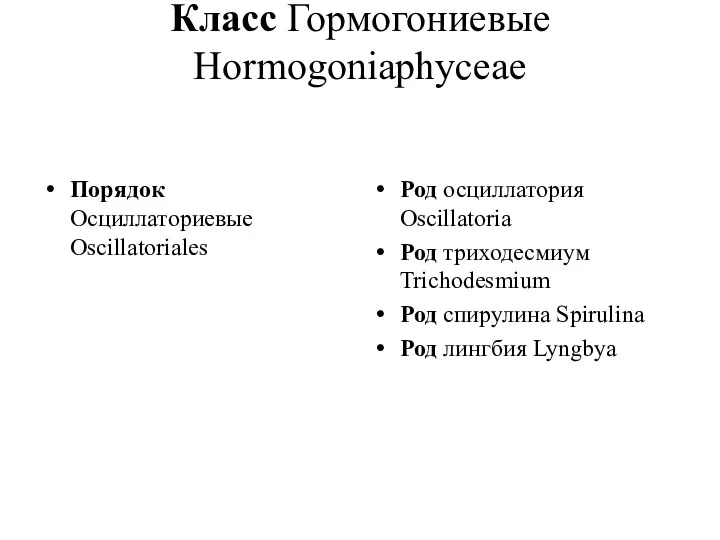 Класс Гормогониевые Hormogoniaphyceae Порядок Осциллаториевые Oscillatoriales Род осциллатория Oscillatoria Род триходесмиум Trichodesmium Род