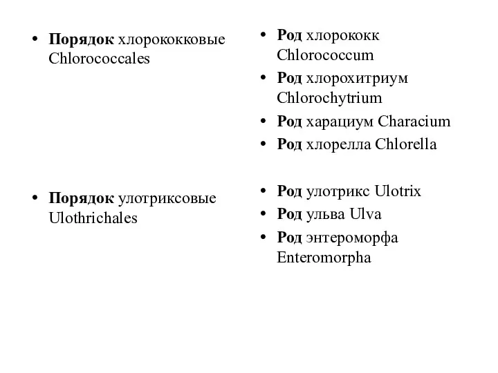 Порядок хлорококковые Chlorococcales Порядок улотриксовые Ulothrichales Род хлорококк Chlorococcum Род хлорохитриум Chlorochytrium Род