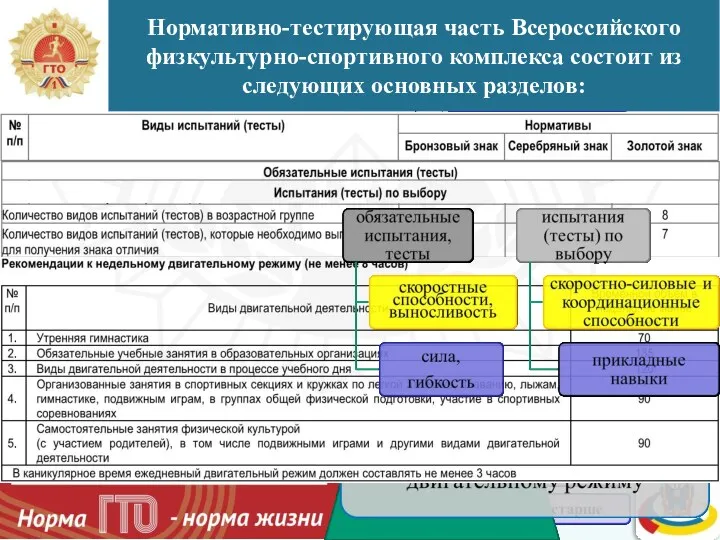 Нормативно-тестирующая часть Всероссийского физкультурно-спортивного комплекса состоит из следующих основных разделов: