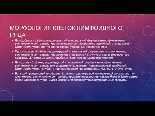 МОРФОЛОГИЯ КЛЕТОК ЛИМФОИДНОГО РЯДА Лимфобласт – 12-16 мкм ядро округлой