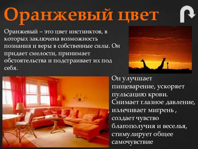 Оранжевый – это цвет инстинктов, в которых заключена возможность познания