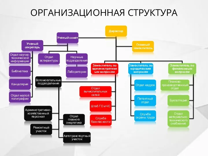 ОРГАНИЗАЦИОННАЯ СТРУКТУРА