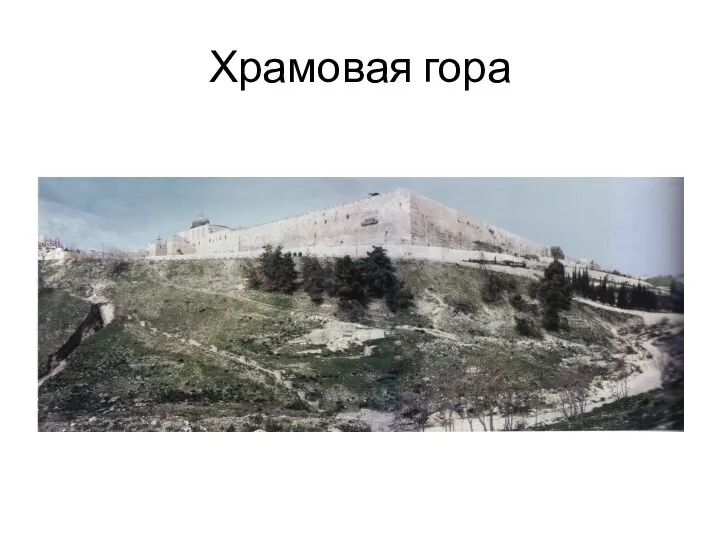 Храмовая гора