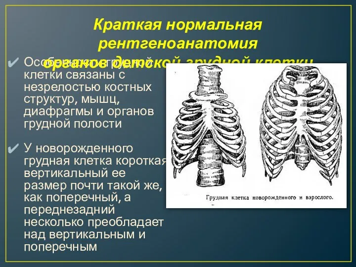 Особенности грудной клетки связаны с незрелостью костных структур, мышц, диафрагмы