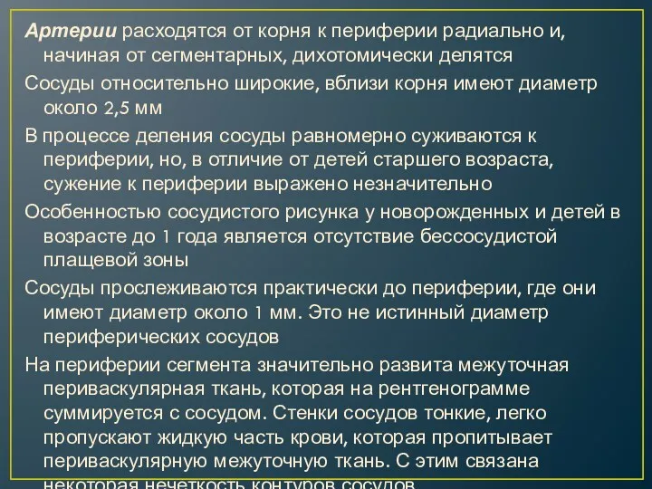 Артерии расходятся от корня к периферии радиально и, начиная от