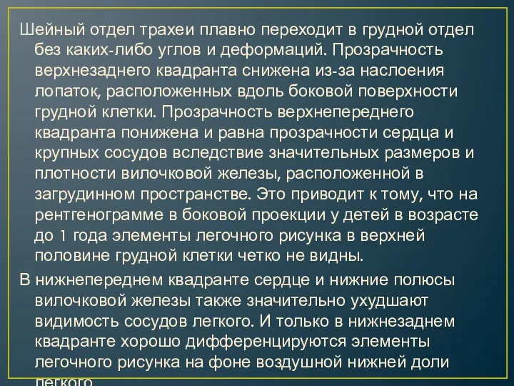 Шейный отдел трахеи плавно переходит в грудной отдел без каких-либо