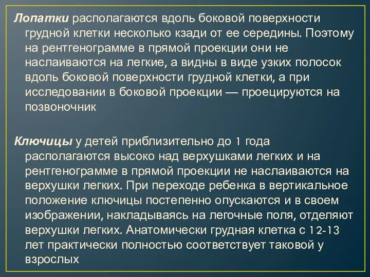 Лопатки располагаются вдоль боковой поверхности грудной клетки несколько кзади от