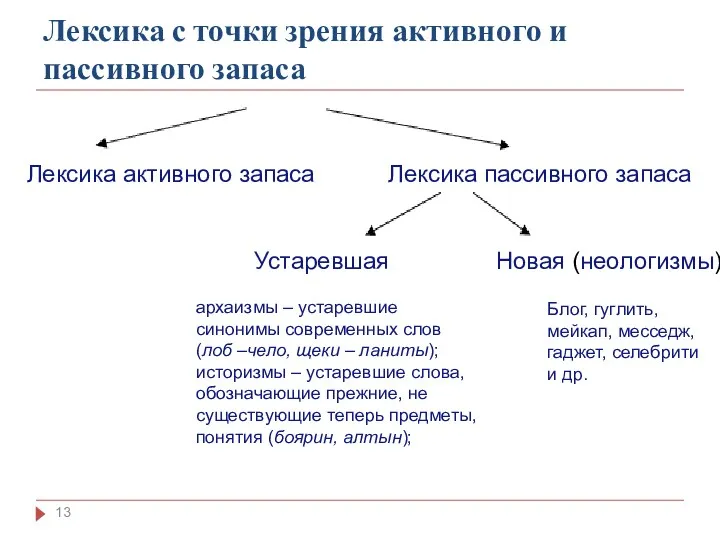 Лексика с точки зрения активного и пассивного запаса Лексика активного