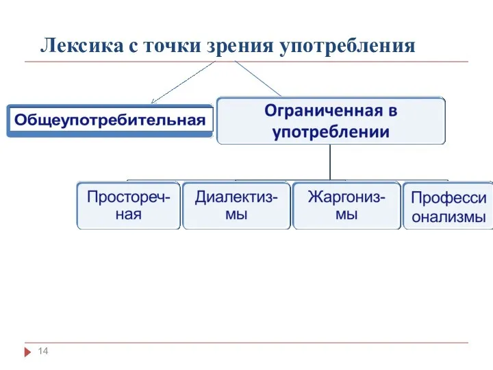 Лексика с точки зрения употребления