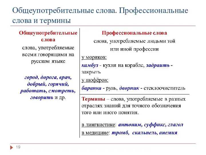 Общеупотребительные слова. Профессиональные слова и термины