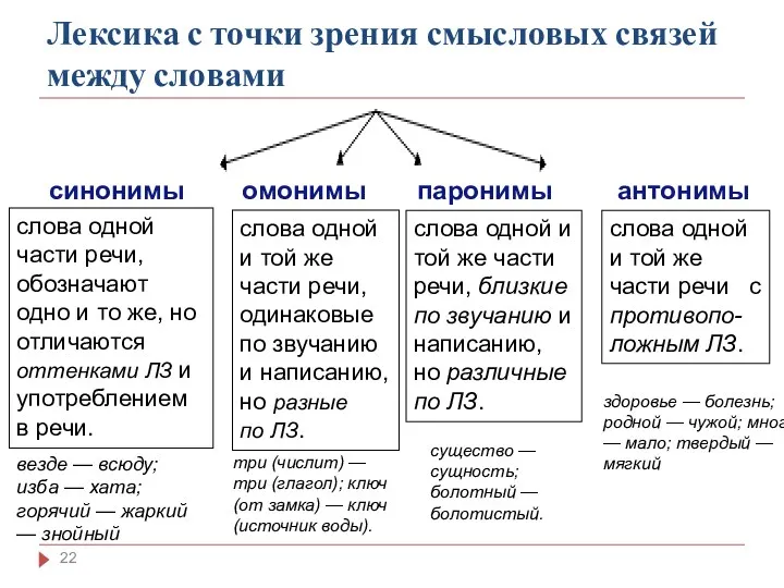 Лексика с точки зрения смысловых связей между словами синонимы омонимы