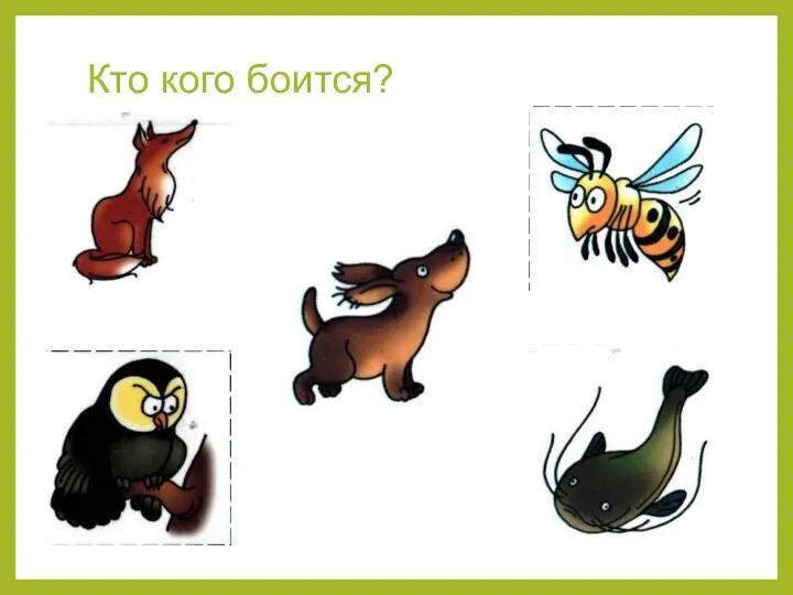 Кто кого боится?