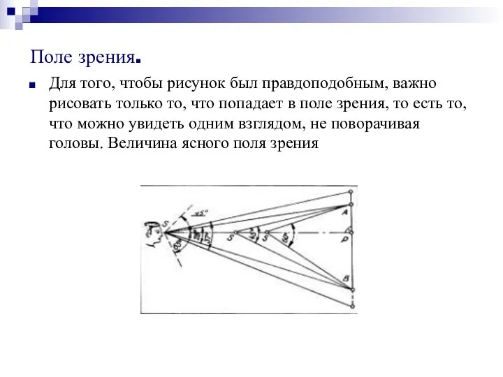 Поле зрения. Для того, чтобы рисунок был правдоподобным, важно рисовать