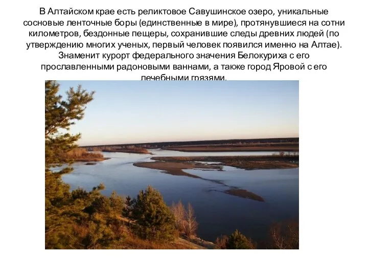 В Алтайском крае есть реликтовое Савушинское озеро, уникальные сосновые ленточные