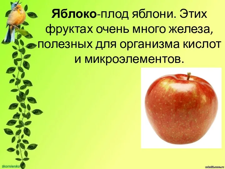 Яблоко-плод яблони. Этих фруктах очень много железа, полезных для организма кислот и микроэлементов.