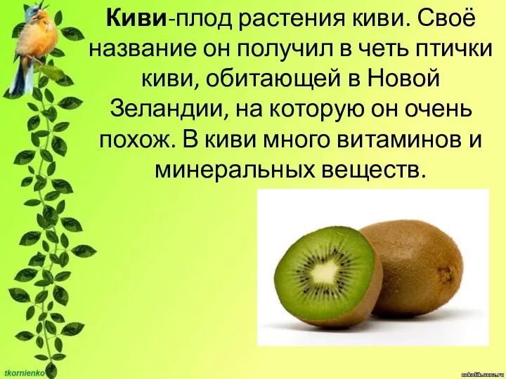 Киви-плод растения киви. Своё название он получил в четь птички киви, обитающей в