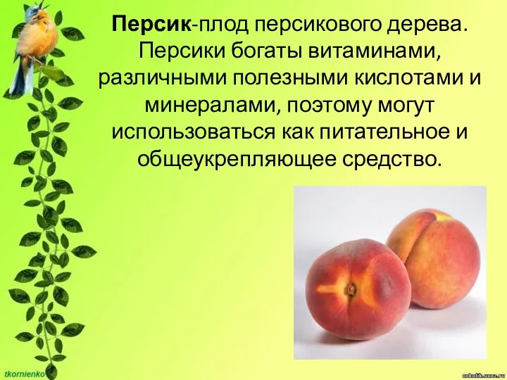 Персик-плод персикового дерева. Персики богаты витаминами, различными полезными кислотами и минералами, поэтому могут