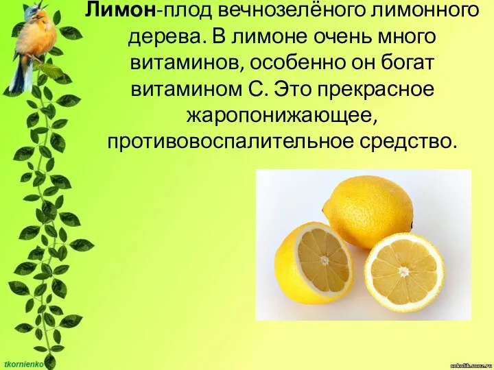 Лимон-плод вечнозелёного лимонного дерева. В лимоне очень много витаминов, особенно он богат витамином