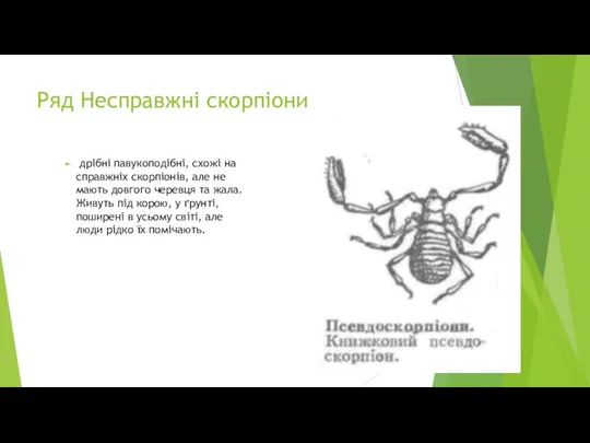 Ряд Несправжні скорпіони дрібні павукоподібні, схожі на справжніх скорпіонів, але не мають довгого