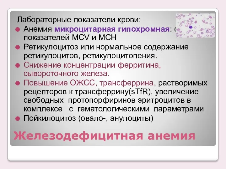 Железодефицитная анемия Лабораторные показатели крови: Анемия микроцитарная гипохромная: снижение показателей