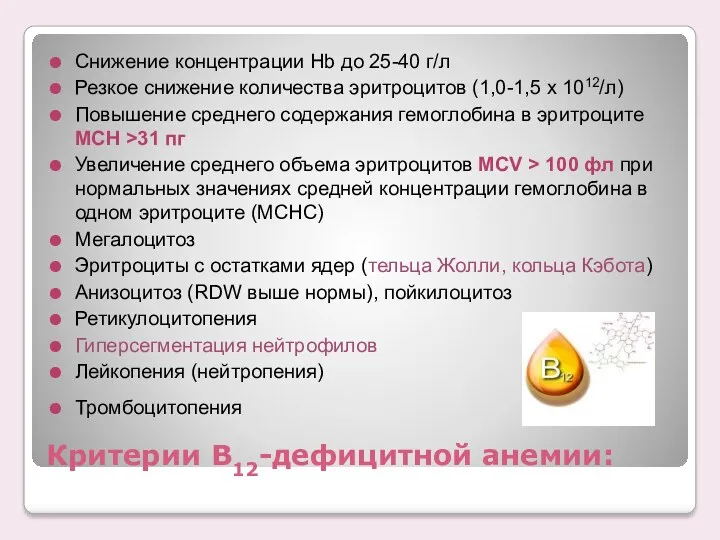 Критерии В12-дефицитной анемии: Снижение концентрации Нb до 25-40 г/л Резкое