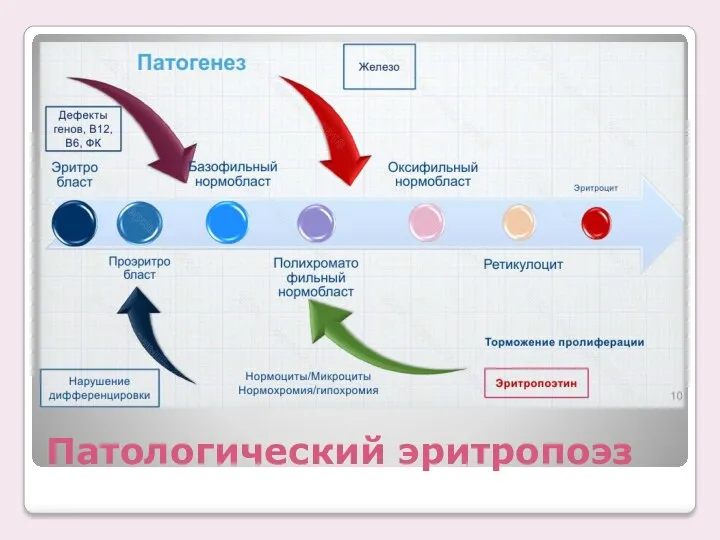 Патологический эритропоэз