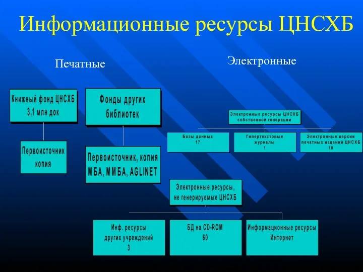 Информационные ресурсы ЦНСХБ Печатные Электронные