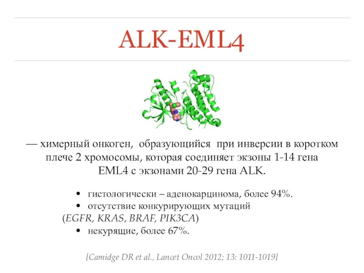ALK-EML4 — химерный онкоген, образующийся при инверсии в коротком плече