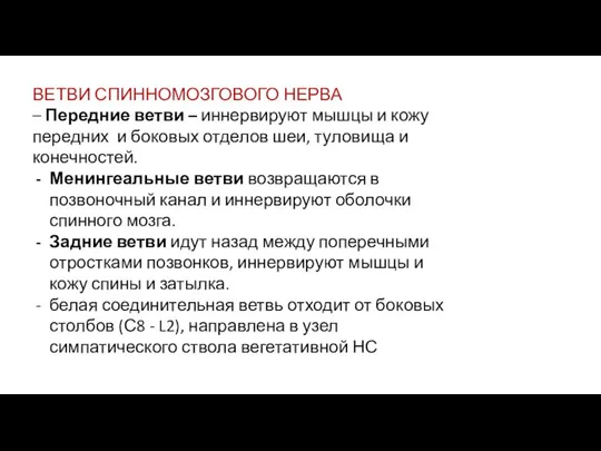 ВЕТВИ СПИННОМОЗГОВОГО НЕРВА – Передние ветви – иннервируют мышцы и кожу передних и