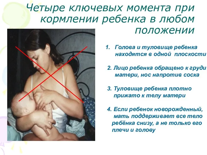 Четыре ключевых момента при кормлении ребенка в любом положении Голова и туловище ребенка