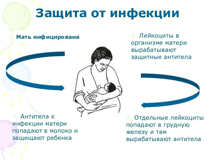 Защита от инфекции 1. Мать инфицирована 2. Лейкоциты в организме матери вырабатывают защитные