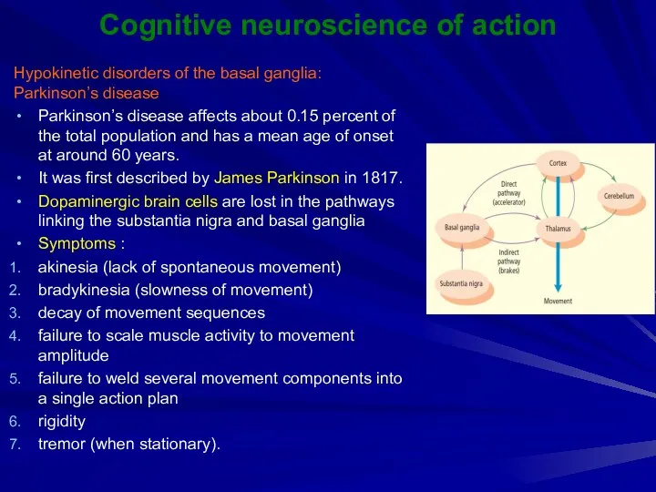 Cognitive neuroscience of action Hypokinetic disorders of the basal ganglia: