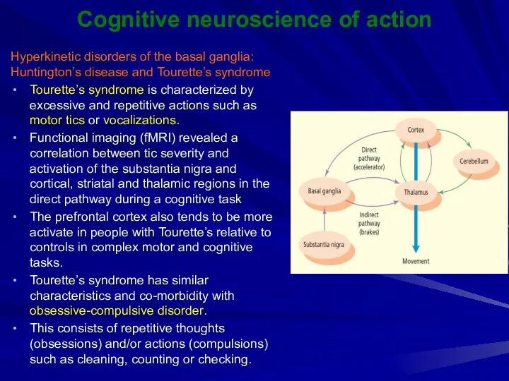 Cognitive neuroscience of action Hyperkinetic disorders of the basal ganglia: