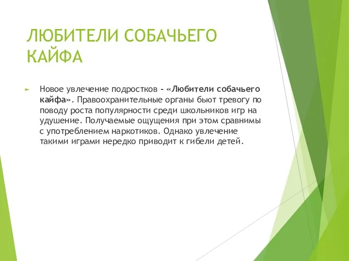 ЛЮБИТЕЛИ СОБАЧЬЕГО КАЙФА Новое увлечение подростков - «Любители собачьего кайфа».