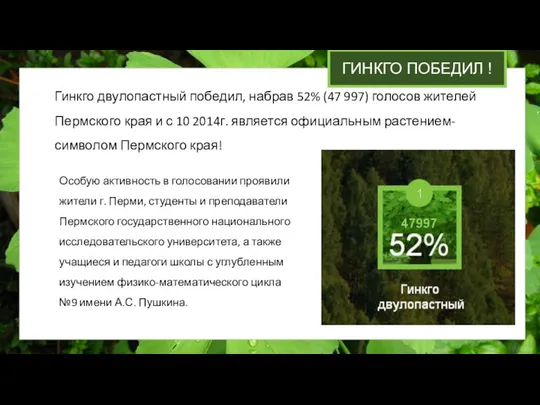 Гинкго двулопастный победил, набрав 52% (47 997) голосов жителей Пермского края и с