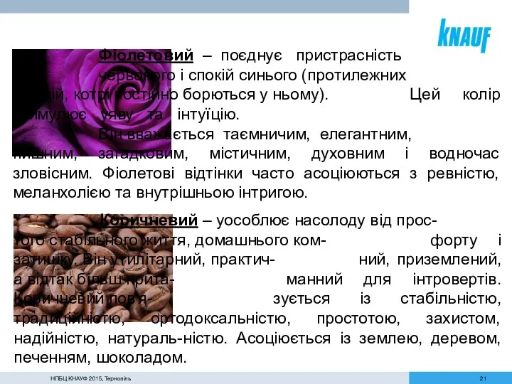 НПБЦ КНАУФ 2015, Тернопіль Фіолетовий – поєднує пристрасність червоного і