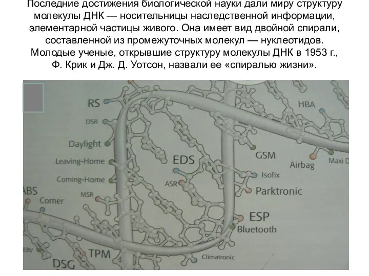 Последние достижения биологической науки дали миру структуру молекулы ДНК — носительницы наследственной информации,