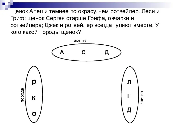 Щенок Алеши темнее по окрасу, чем ротвейлер, Леси и Гриф;