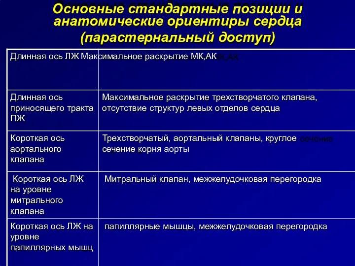 Основные стандартные позиции и анатомические ориентиры сердца (парастернальный доступ) Длинная