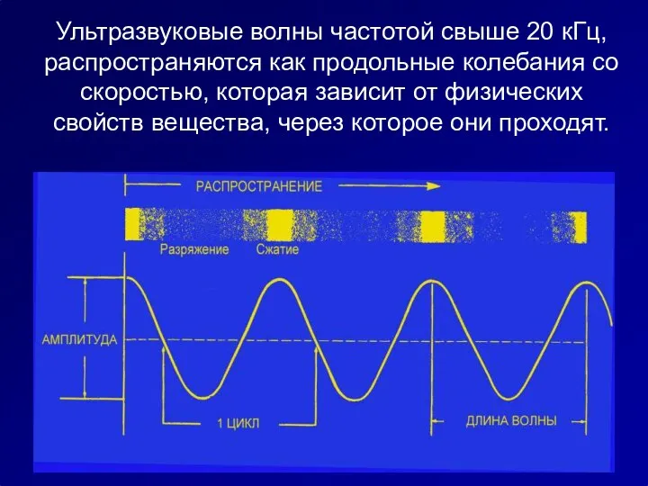 Ультразвуковые волны частотой свыше 20 кГц, распространяются как продольные колебания