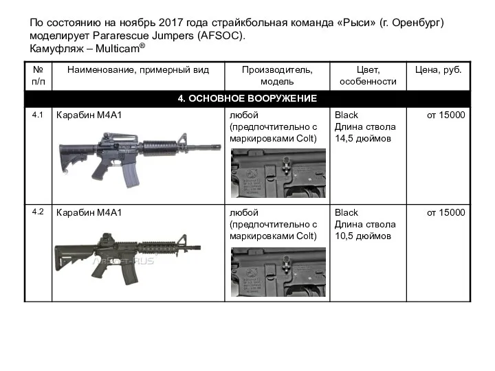 По состоянию на ноябрь 2017 года страйкбольная команда «Рыси» (г.