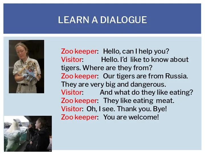 LEARN A DIALOGUE Zoo keeper: Hello, can I help you?