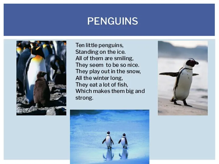 PENGUINS Ten little penguins, Standing on the ice. All of