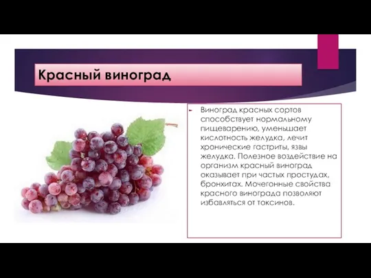 Красный виноград Виноград красных сортов способствует нормальному пищеварению, уменьшает кислотность желудка, лечит хронические