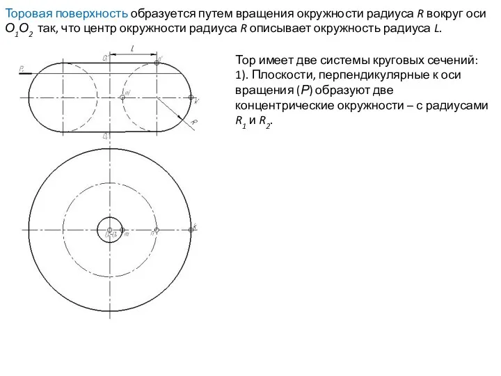 Тор имеет две системы круговых сечений: 1). Плоскости, перпендикулярные к