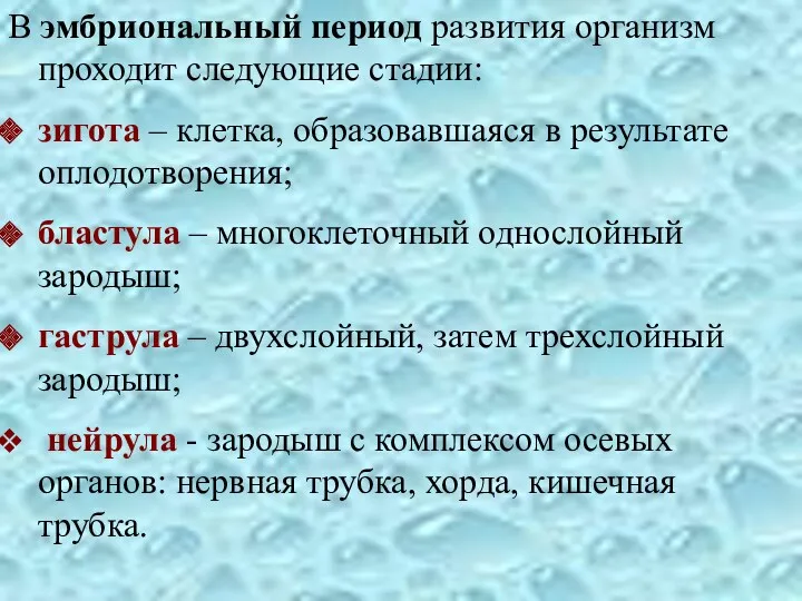 В эмбриональный период развития организм проходит следующие стадии: зигота –