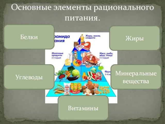 Основные элементы рационального питания. Белки Витамины Минеральные вещества Углеводы Жиры