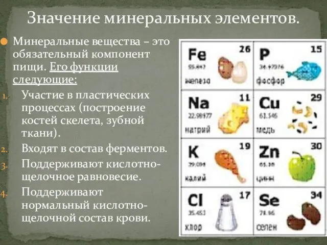 Минеральные вещества – это обязательный компонент пищи. Его функции следующие: