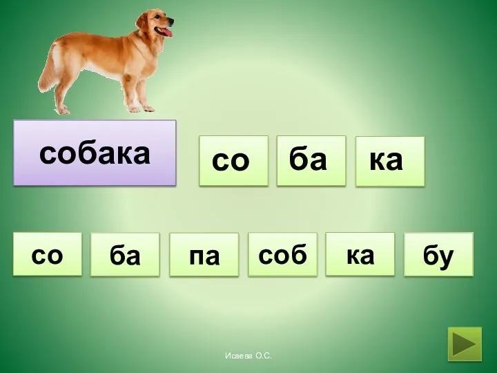 собака со ба ка соб бу ба ка па со Исаева О.С.