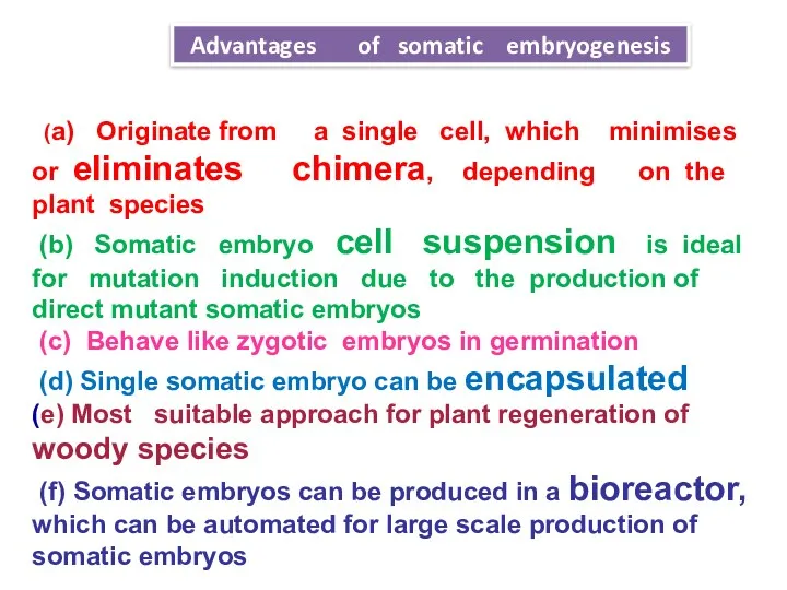 (a) Originate from a single cell, which minimises or eliminates